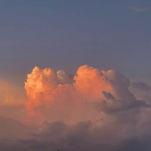 丝袜高跟鞋钛金毛片1区2区
